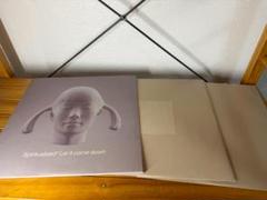 Spiritualized LET IT COME DOWN レコード