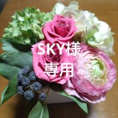 やっさん新品未使用箱付き　フェレナ　肩甲骨インナー　26,400円の品 肩甲骨インナー – FEALENA（フェレナ）