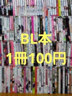 BL漫画セット まとめ売り BL まんが まとめ売り 28冊セット