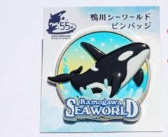 鴨川シーワールド パンフレット　中古 鴨川シーワールド パンフレット 写真集の通販 by kachan's shop