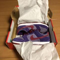 NIKE DUNK LOW SP PLUM