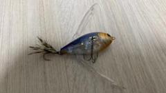ルアーセット RIID DSTYLE EISVOGEL RISER