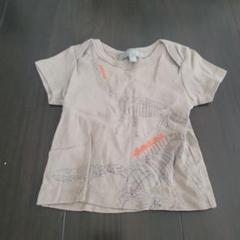 milk on the rocks 恐竜Tシャツ 12m