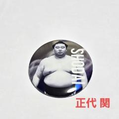 2025年最新】正代の人気アイテム - メルカリ