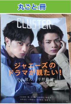 CLUSTER Vol.12 中島健人×平野紫耀 丸ごと1冊