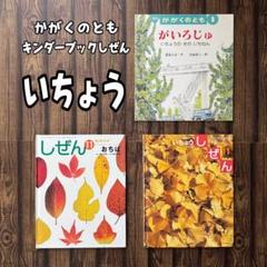 いちょう　おちば　がいろじゅ　かがくのとも　キンダーブックしぜん