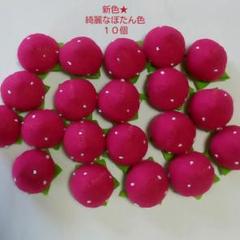 ★ハンドメイドフェルトままごと★イチゴ新色★綺麗なぼたん色10個