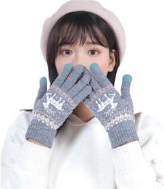 かわいい♡冬用あったか手袋 レディース スマホ対応 おしゃれ 女性用手袋