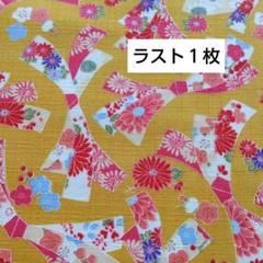 和柄 サザンクロス 辛子色地 花熨斗文様 はぎれ 生地