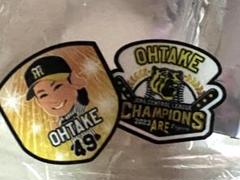 阪神タイガース 藤本敦士 2003優勝ワッペンユニフォーム応援歌刺繍入120 2025年最新】阪神 ワッペン 優勝の人気アイテム - メルカリ