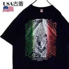 USA古着 メキシコ世界遺産Tシャツ 黒 L マヤ文明チェチェンイッツァtシャツ