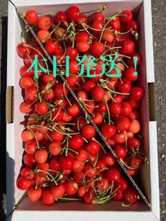 山形県産さくらんぼ 紅さやか