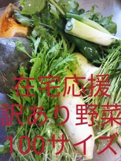 在宅応援 お得用 訳あり野菜ドッサリ 詰め合わせ100サイズ