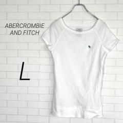 (r3022)アバクロンビー&フィッチ【L】シアーtシャツ タイト シンプル 白