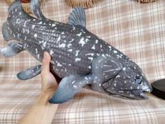 ハンドメイド 61cmシーラカンス フィギュア レプリカ オブジェ