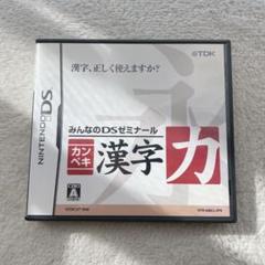 みんなのDSゼミナール 漢字力 カンペキ