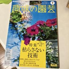NHK趣味の園芸2025年7月号