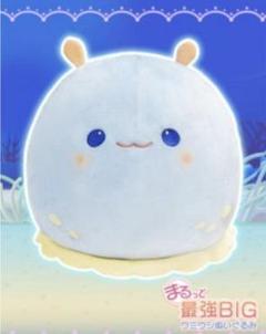 ぬいぐるみ ウミウシの中古 未使用品を探そう メルカリ