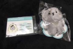 2025年最新】ショヌ ぬいぐるみの人気アイテム - メルカリ