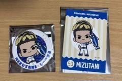 水谷瞬 タオル FAV限定 入手不可 非売品 パイナップルパワー 水谷瞬 タオル FAV限定 入手不可 非売品 パイナップルパワー
