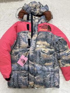 極美品 GUCCI×THE NORTH FACE グッチ ノースフェイス 21AW