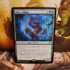 【毎日発送】日本語　氷耕しの探検家　MTG