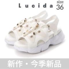 ルシーダ Lucida ゴムシューレーススポーツサンダル 厚底 白 Ophiuchus/オフィウクス （White）ゴムシューレーススポーツ