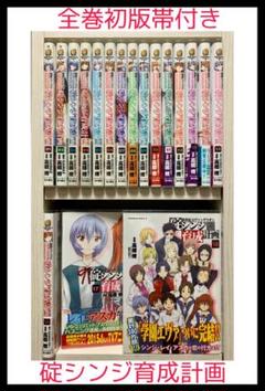 新世紀エヴァンゲリオン 碇シンジ育成計画の中古 未使用品を探そう メルカリ