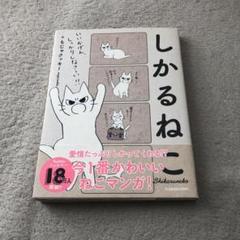 しかるねこクラウドファンディング ぬいぐるみ　アクリルキーホルダー しかるねこクラウドファンディング ぬいぐるみ アクリル