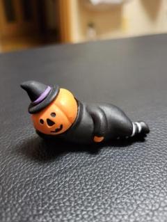コンコンブル ごろ寝 ハロウィン パンプキン