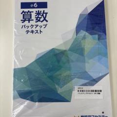 【早稲アカ】算数バックアップテキスト