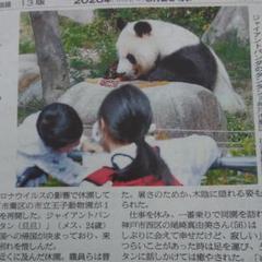 タンタン新聞切り抜き