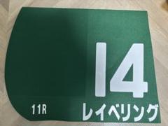 2025年 函館競馬場 函館スプリントS レプリカゼッケン レイべリング 2025年 函館競馬場 函館スプリントS レプリカゼッケン レイべ