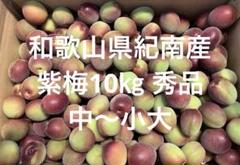 和歌山県紀南産　紫梅10㎏ 秀品　中〜小大サイズ 和歌山県紀南産 紫梅10㎏ 秀品 中〜小大サイズ - メルカリ