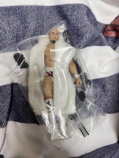 WWE マテル　丸藤正道　エリートタイプ　カスタムフィギュア 2025年最新】MATTEL スポーツの人気アイテム - メルカリ