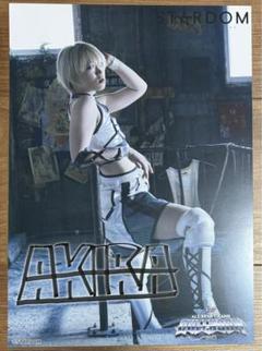 スターダム　ポートレート　まとめ売り　大特価 2025年最新】スターダム ポートレートの人気アイテム - メルカリ
