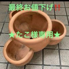テラコッタ鉢ストロベリーポット寄せ植え