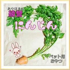 家庭菜園 ★ にんじん (ペット用)