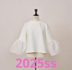 Heve ヘイヴ　LADYBUGトップス　ホワイト　新品未使用タグ付き 2025年最新】HEVEへイヴの人気アイテム - メルカリ