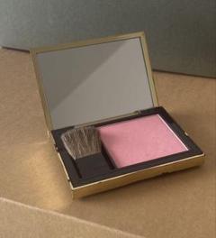 ESTEE LAUDER ピュアカラーエンヴィブラッシュ01 ピンクティーズのサムネイル
