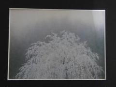 坪内滄明、茜梢、希少な画集より、新品高級額装付、状態良好