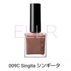 【最終価格にお値下げ済み】ADDICTION ネイル ポリッシュ Singita