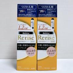 942】リライズ 本体＆付け替え 10点まとめ売り