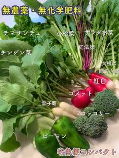 ★無農薬・無化学肥料★ 新鮮野菜詰め合わせ 宅急便コンパクト