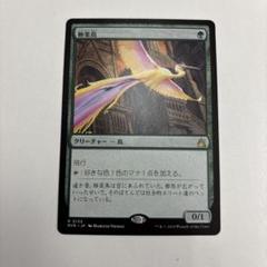 MTG マジック・ザ・ギャザリング 極楽鳥