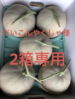 メロン農家直送 訳あり 5玉入り 糖度は十分あります - メルカリ