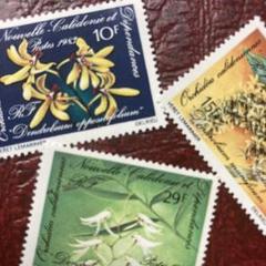 72432セール現品限 外国切手 ニューカレドニア発行植物3種揃