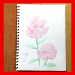 MaｉKO　油絵原画　芍薬のはな　サムホール　　額つき　メルカリ便発送 今年88歳になるおばあちゃんの鉛筆画【芍薬④】イラスト絵画