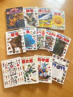 小学館の図鑑neo学研の図鑑21世紀こども百科13冊セット - メルカリ