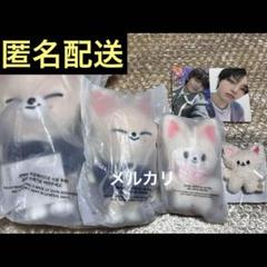Stray Kids SKZOO PLUSH Foxl.Ny 全種類 セット - メルカリ